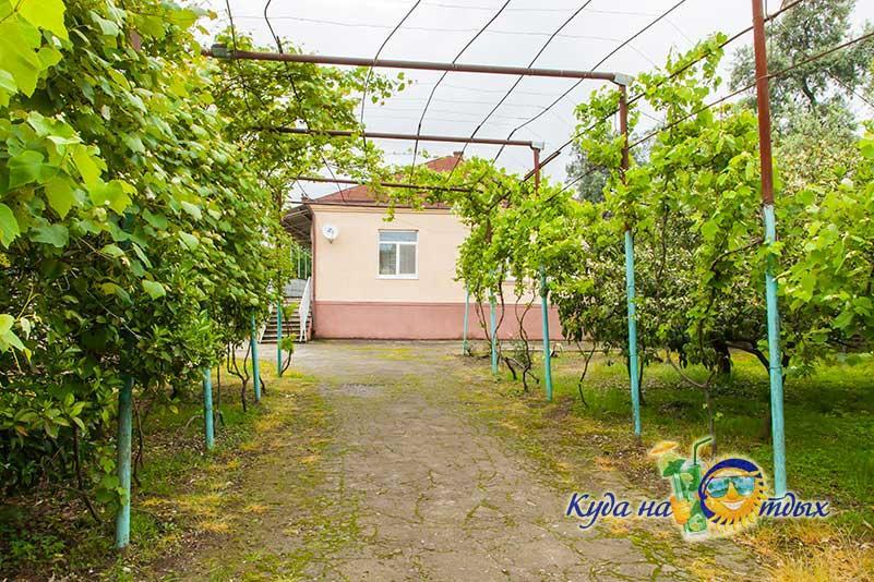 U Vili Hotel Pizunda Exterior photo